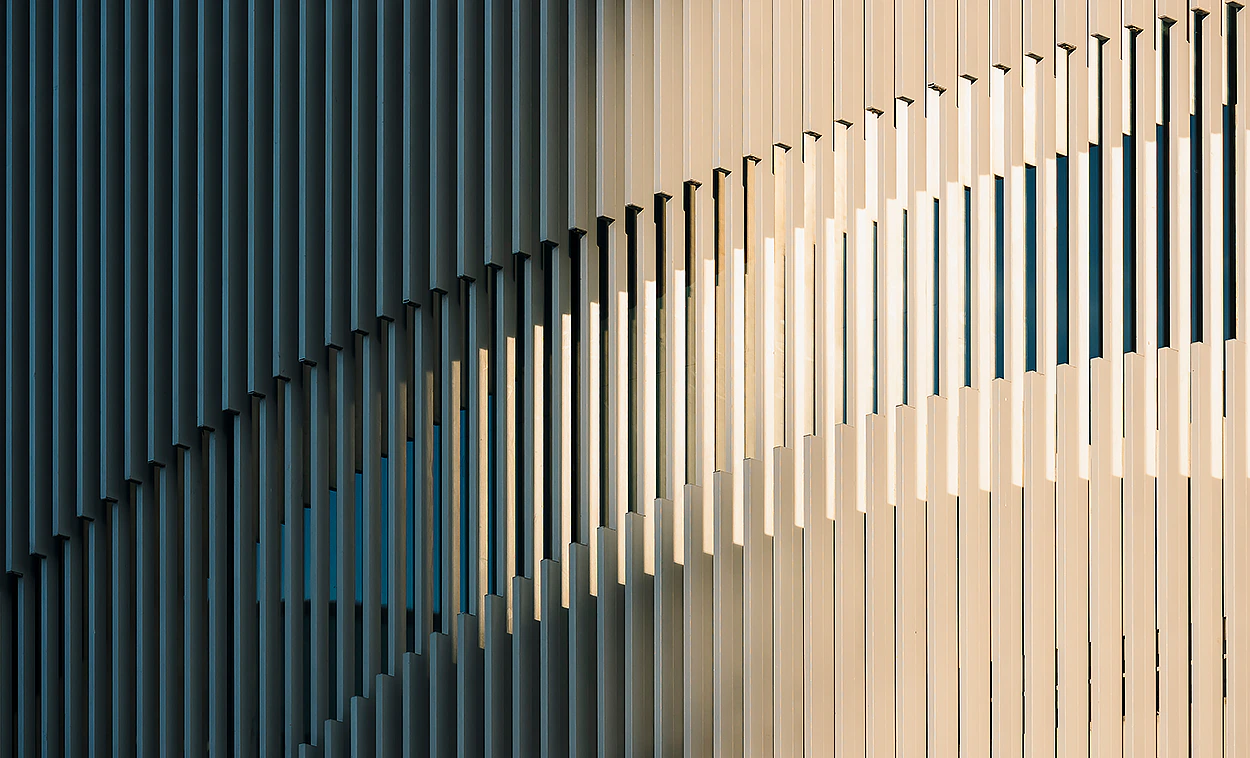 Daandl - Motif événement Lyon ©Geoffrey Bellec